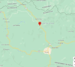 4x250g Café En Grain Nicaragua Don Olman - Cafés Lugat -DeLonghi Magasin cafeengraincafeslugatdipilto