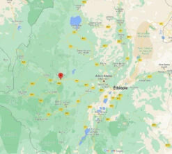 4x250g Café En Grain Bio - Ethiopie Moka Nekemte - CAFES LUGAT 5 4x250g Café En Grain Bio - Ethiopie Moka Nekemte - CAFES LUGAT -DeLonghi Magasin cafeengraincafeslugatethiopie