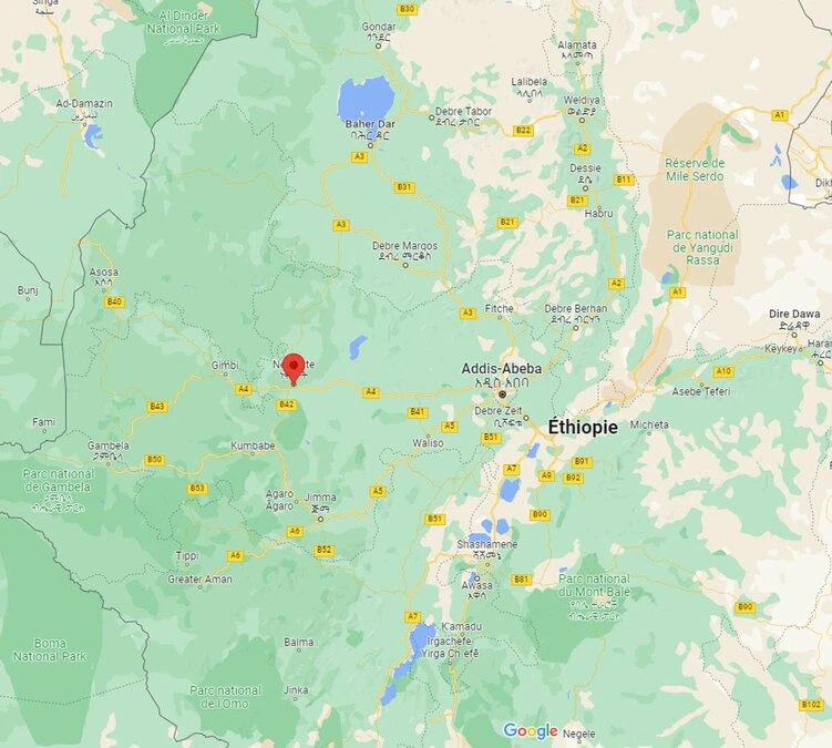 4x250g Café En Grain Bio - Ethiopie Moka Nekemte - CAFES LUGAT 3 4x250g Café En Grain Bio - Ethiopie Moka Nekemte - CAFES LUGAT – Image 3