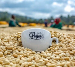 1 Kg Café En Grain Le Dark'n Sweet - Cafés Lugat -DeLonghi Magasin cafeengraincafeslugatmarque