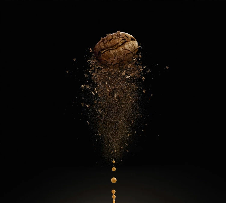 500g Café En Grains Bio - Carte Noire Honduras 4 500g Café En Grains Bio - Carte Noire Honduras – Image 4