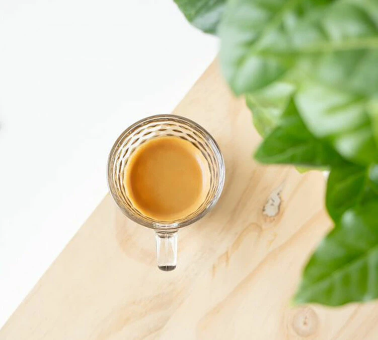 1kg Café En Grain Bio Monte Verde - GREEN LION COFFEE 2 1kg Café En Grain Bio Monte Verde - GREEN LION COFFEE – Image 2