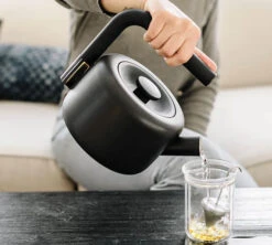 Bouilloire à Thé Clyde - Noir Mat - FELLOW -DeLonghi Magasin clyde2