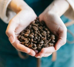 Café En Grains Brûlerie Du Cantin - Mélange Dégustation 100% Arabica - 250gr -DeLonghi Magasin lifestyle grain 2