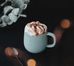 Mug Terra Sauge - 33 Cl - PYLANO -DeLonghi Magasin pylano tasse terra lifestyle